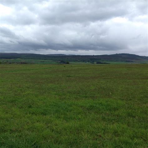 Culloden Battlefield Museum Archives - Claire Gebben