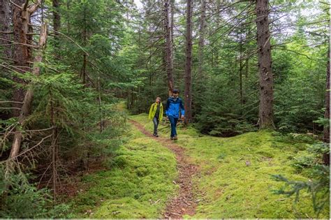 Top Hiking and Camping Trails in the Berkshires | Kenver