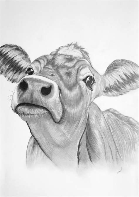 Cute cow Drawing by Mila Vlasova | Saatchi Art