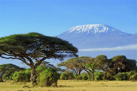 Guide to Hiking Mount Kilimanjaro | Ubuntu Travel Group