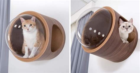 These Wall-Mounted Cat Beds Offer The Perfect Place to Take A Cat Nap