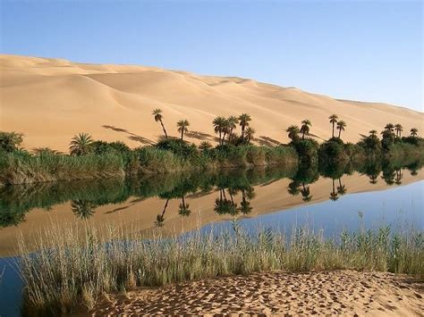 The Africa Beneath the Sahara Desert: Picture of an oasis in the Sahara ...