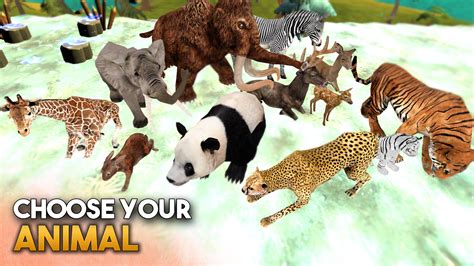 3d animal games online - nanaxfy