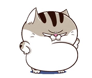 Cute Angry Fat Cat GIF | GIFDB.com