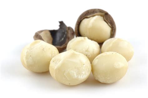 Macadamia Nuts Is Toxic To Dogs | Pet Poison Helpline®