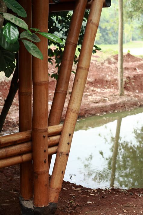 bambuso.id builds the 'bamboo garden house' on stilts in parung, indonesia