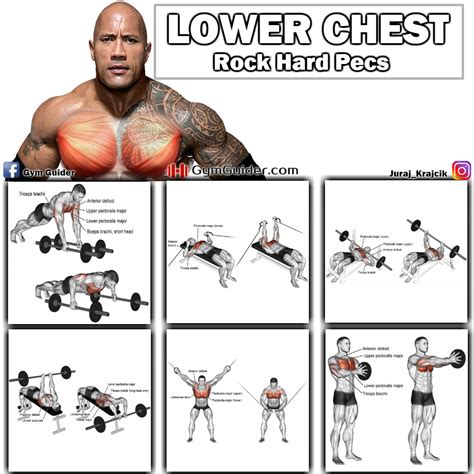 Incredible Lower Chest Exercises With No Equipment | Exercises to Belly Fat