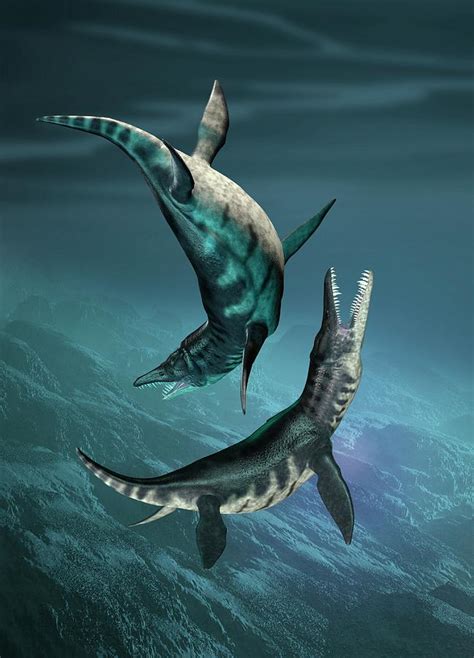 Liopleurodon Marine Reptiles Photograph by Victor Habbick Visions ...