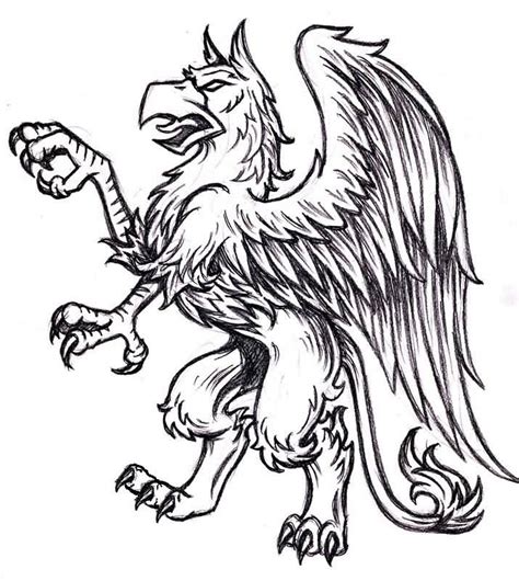 Griffin Drawing at GetDrawings | Free download