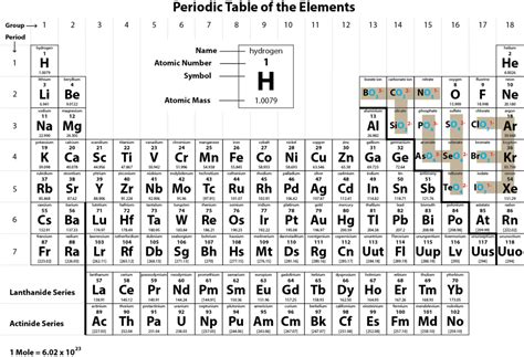 Ion Quiz 2 Study Guide -- Common Monatomic & Polyatomic Ions Diagram ...