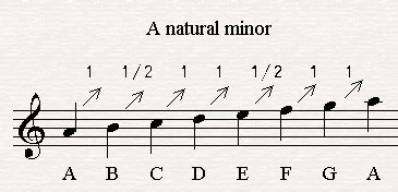 The Diatonic Scale