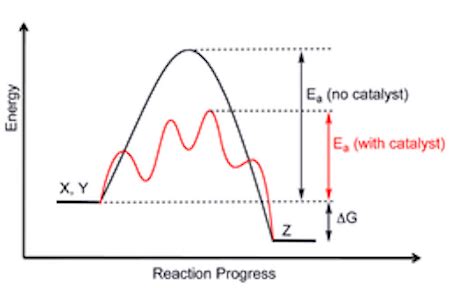 Exothermic Reaction With Catalyst