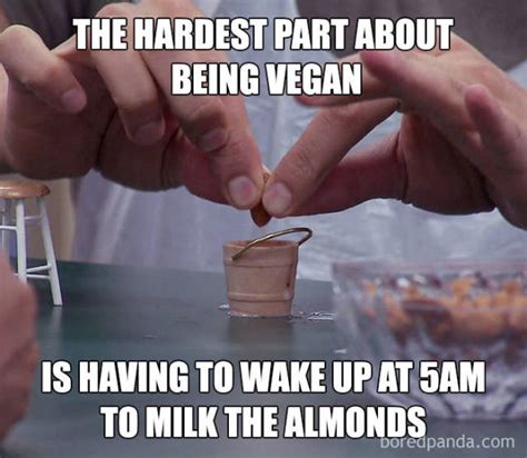 Vegan Memes (49 pics)