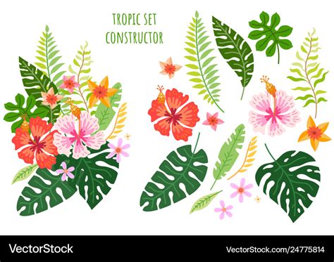 Rainforest Flowers Clipart | Best Flower Site