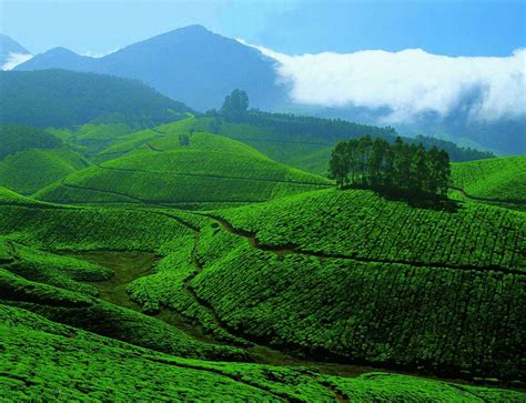 Kerala Wallpapers - Wallpaper Cave