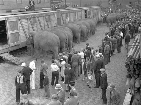 A History of the Ringling Circus Train | Sarasota Magazine