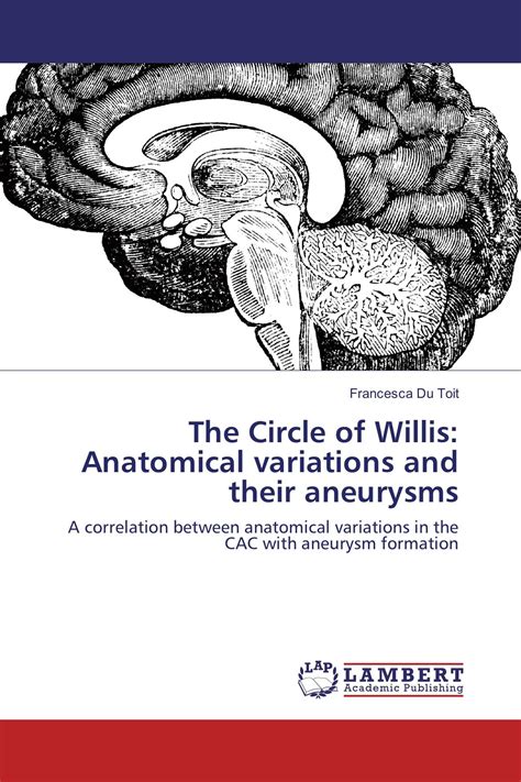 The Circle of Willis: Anatomical variations and their aneurysms / 978-3 ...