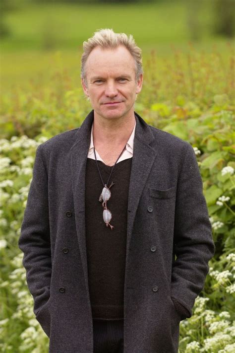 Sting - Not So Good Binnacle Photogallery