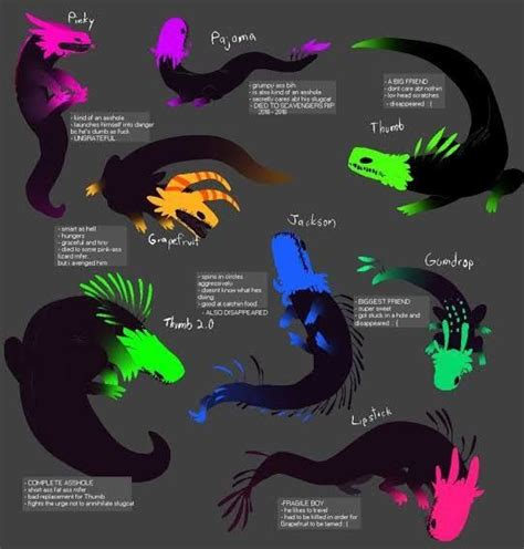 Pin de Katerina Dupalova em Dragon drawings | Anatomia do gato ...