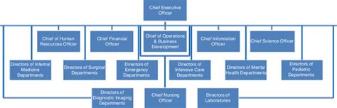 Small Hospital Organizational Chart | Images and Photos finder