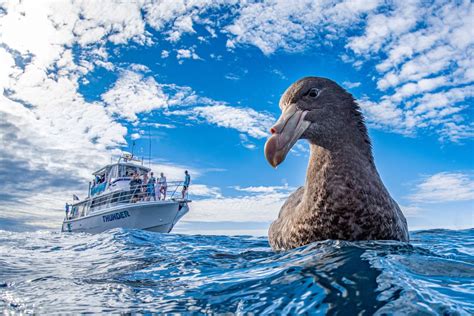 Winners of the 2020 World Nature Photography Awards - The Atlantic