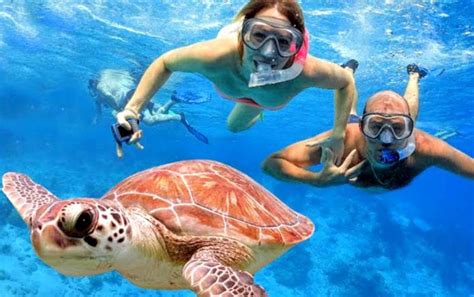 Blue Lagoon Snorkeling | Bali Sun Tours