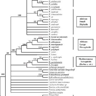 Phylogenetic relationships of 47 cyprinids based on cytochrome b ...