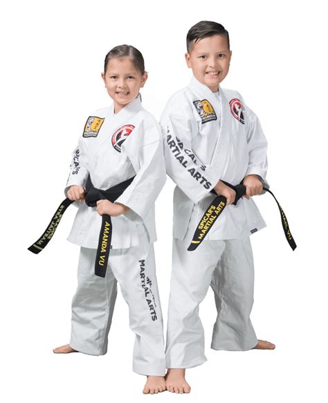 Karate PNG Transparent Images | PNG All