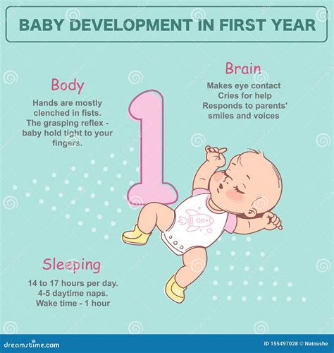 Little Newborn Baby of 1 Month Sleeping. Development Infographics Stock ...