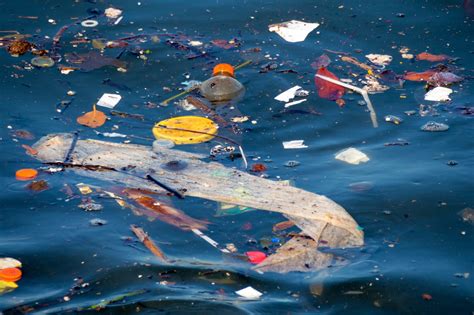 Can New Biodegradable Plastic Help Solve the Plastic Pollution Problem ...