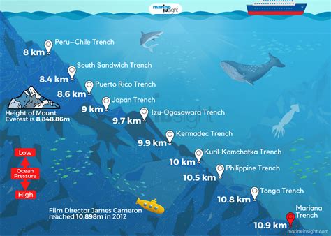 10 Deepest Parts Of The Ocean (2022)