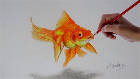 Realistic Koi Drawing at GetDrawings | Free download