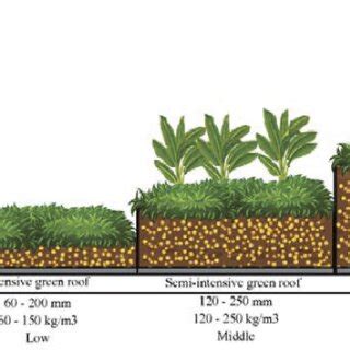 Different types of green roofs and their characteristics (Raji et al ...