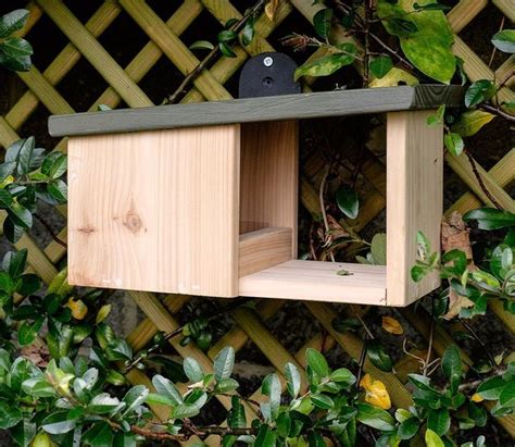 Wooden Robin Nesting Box | Fuglehus, Fuglebræt, Fuglehuse