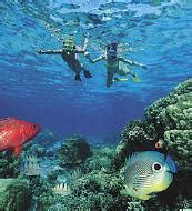 St. Croix Snorkeling and Snorkeling Tours - Best Snorkeling Sites, US ...