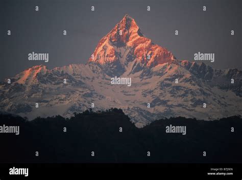 Machapuchare, Annapurna, Nepal Stock Photo - Alamy