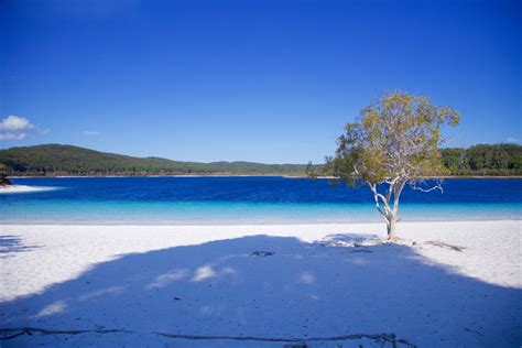 5 reasons you must visit Fraser Island, Australia | Wanderlust