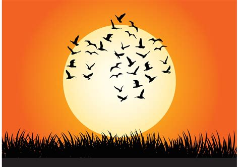 Sunset Vector Illustration - Download Free Vector Art, Stock Graphics ...