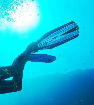 A Complete Guide To Scuba Diving Fins