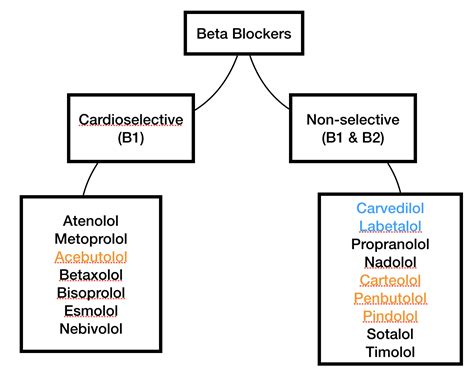 Pharmacology 101: An Overview of Beta Blockers — tl;dr pharmacy