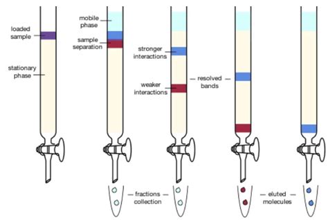 Column Chromatography Diagram