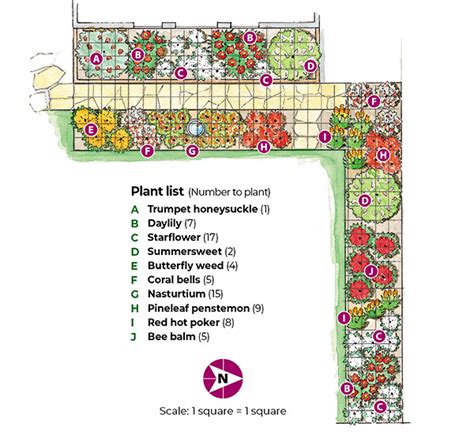 Hummingbird Garden Layout | Fasci Garden