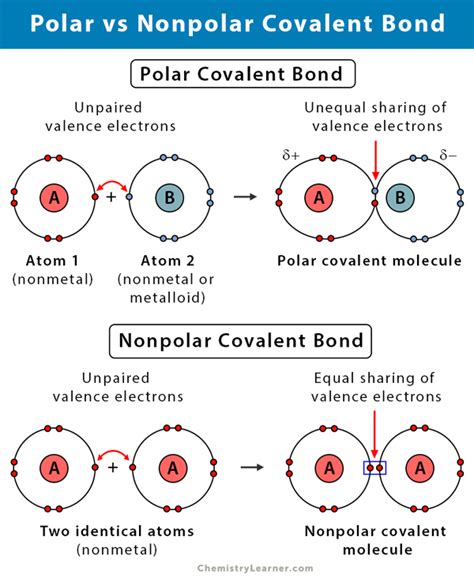 Polar Covalent Bond: Definition and Examples