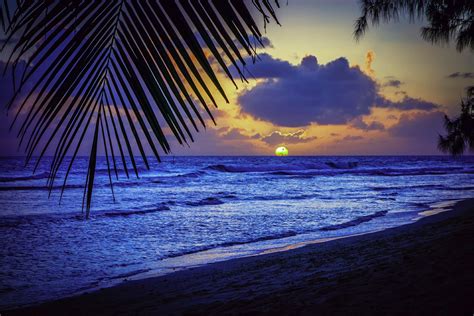 Caribbean Sunset Wallpaper Desktop - WallpaperSafari