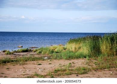 One Gotland Beaches Summer Sweden Stock Photo 205054573 | Shutterstock