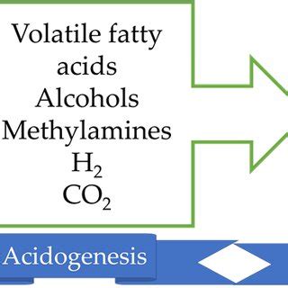 The anaerobic digestion process. | Download Scientific Diagram