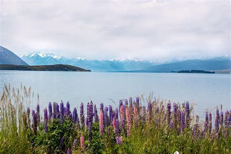 #BEAUTY OF EARTH #SERENITY Lake Tekapo, National Photography, Earthporn ...