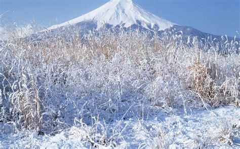 Japan Snow Wallpapers - Top Free Japan Snow Backgrounds - WallpaperAccess