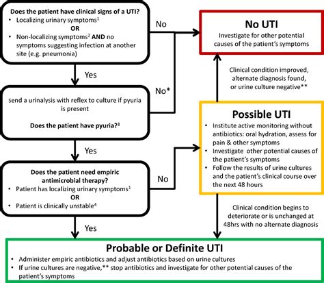 Figure 1 from Urinary Tract Infection and Asymptomatic Bacteriuria in ...