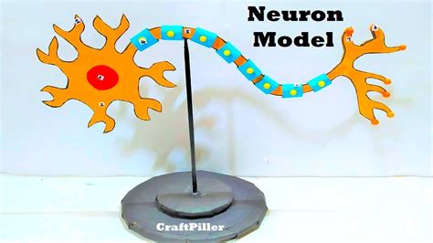 neuron model making for science fair project | diy at home ...